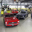 Mustangs in workshop
